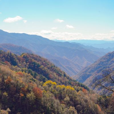 Discovering the Wild: Your Guide to Budget-Friendly Outdoor Adventures